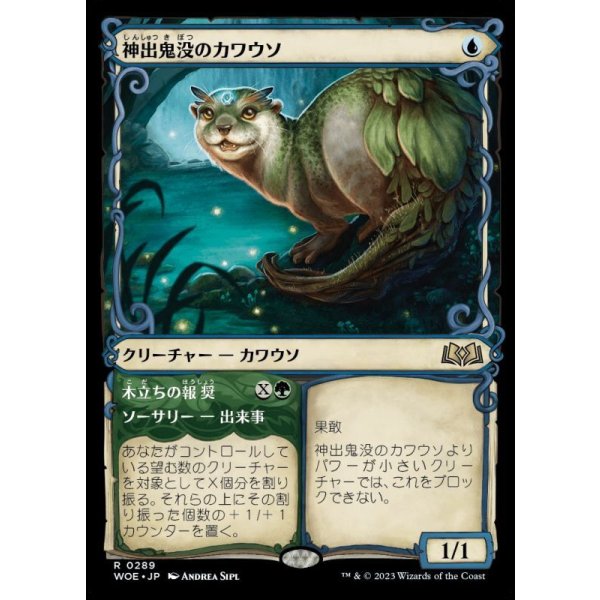 画像1: 神出鬼没のカワウソ/Elusive Otter (1)