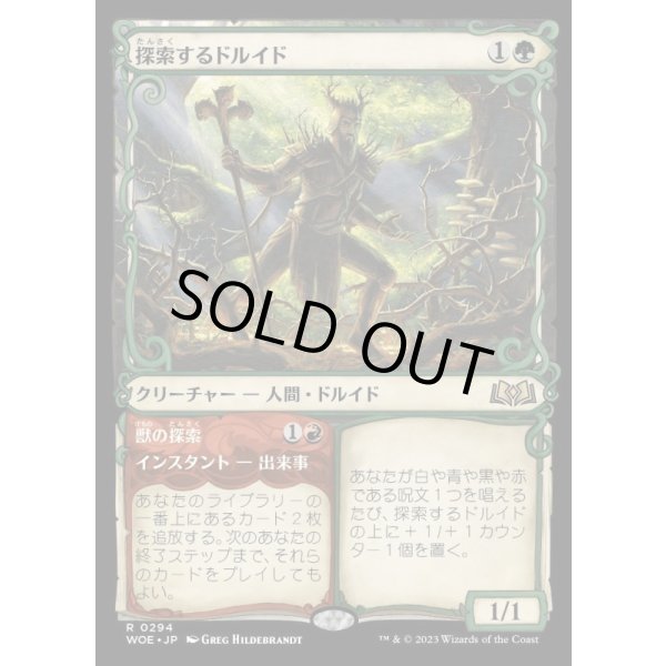 画像1: 探索するドルイド/Questing Druid (1)