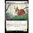画像1: 威厳あるバニコーン/Regal Bunnicorn (1)