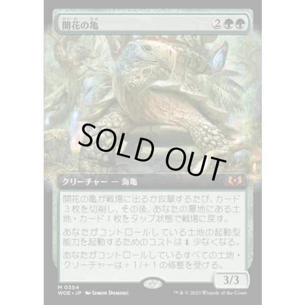 画像1: 開花の亀/Blossoming Tortoise (1)