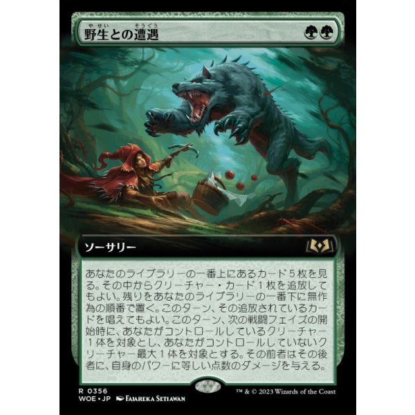 画像1: 野生との遭遇/Feral Encounter (1)