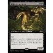画像1: 邪悪なウィッチカイト/Malevolent Witchkite (1)