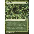 画像1: 硬化した鱗/Hardened Scales (1)