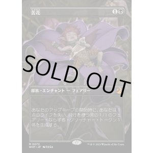 画像: 苦花/Bitterblossom