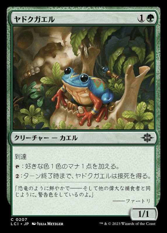 画像1: ヤドクガエル/Poison Dart Frog (1)
